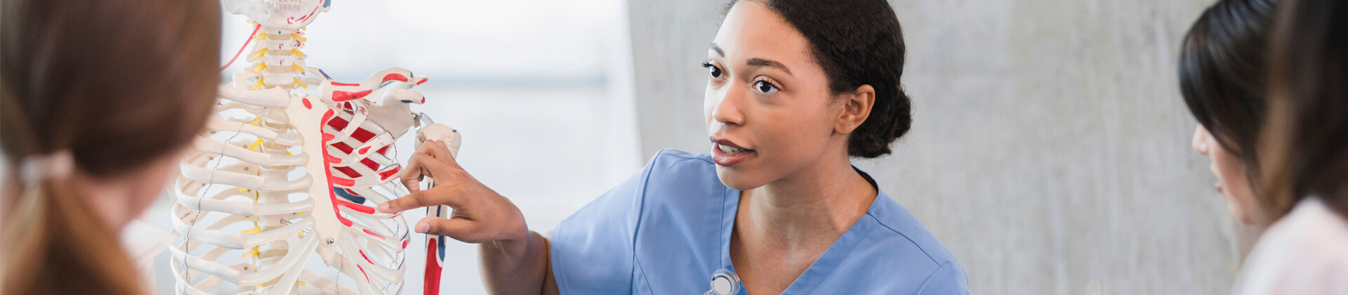 A woman in scrubs points to a rib on a skeleton for the Associate of Science in Human Biology Program Page